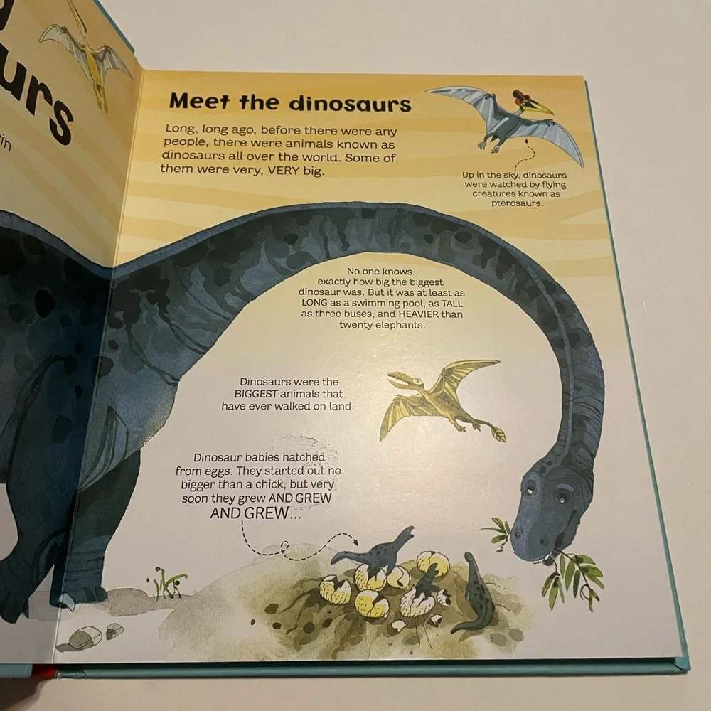 The Usborne Big Book of Big Dinosaurs And Some Little Ones Too…..Hardcover Book